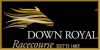 Down Royal Racecourse 1